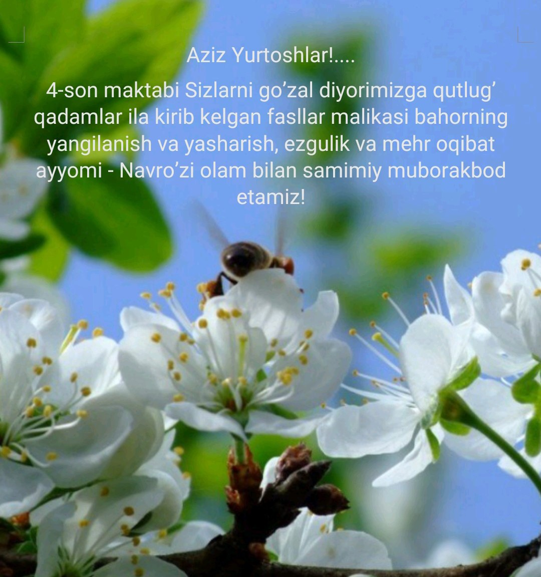 Xush kelding Navro'z!